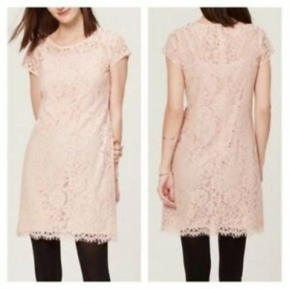 LOFT | Ann Taylor Light Pink Flutter Lace Dress